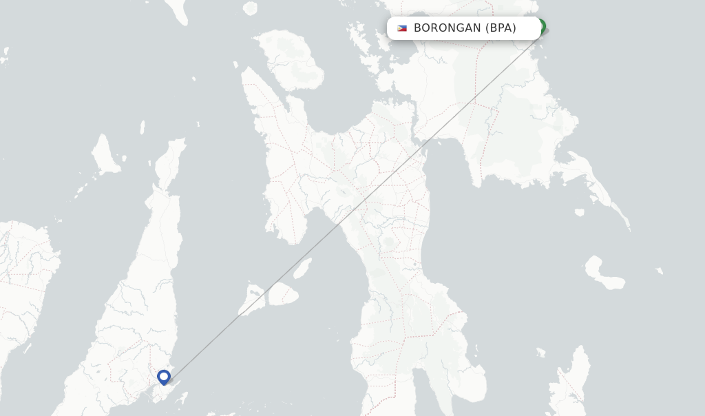 Borongan flight map