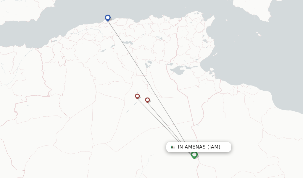 In Amenas flight map